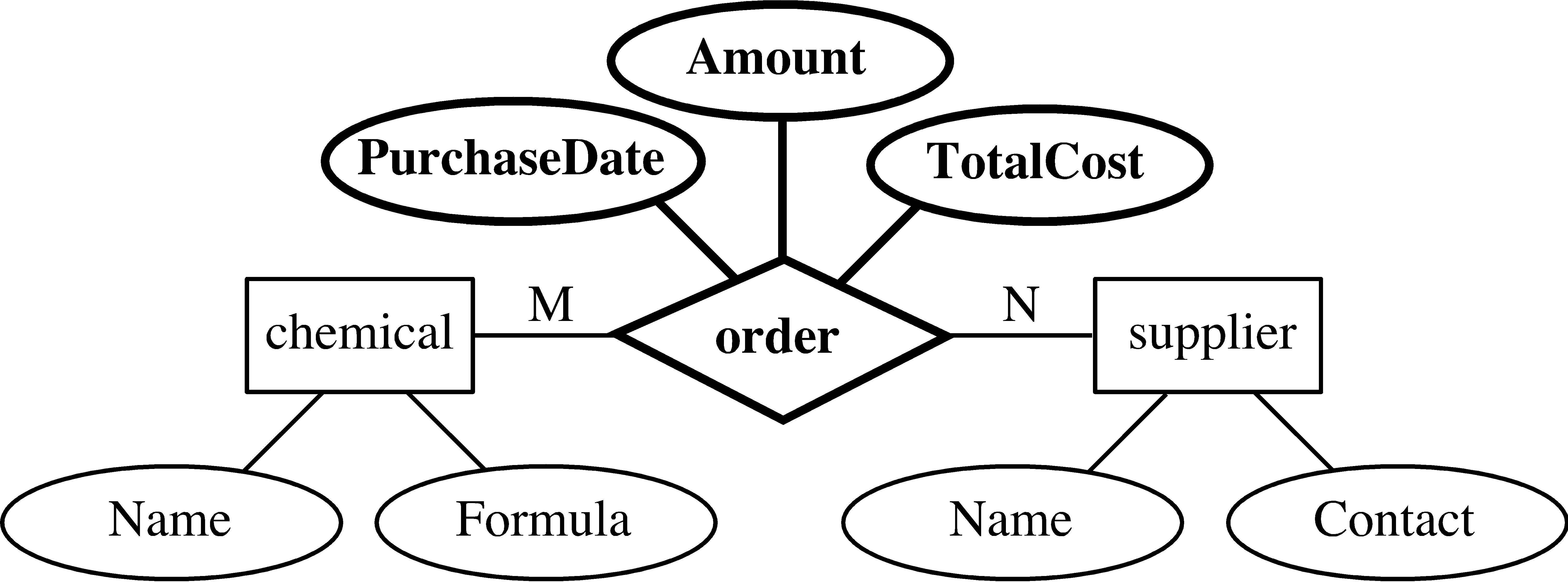 Entity Definition