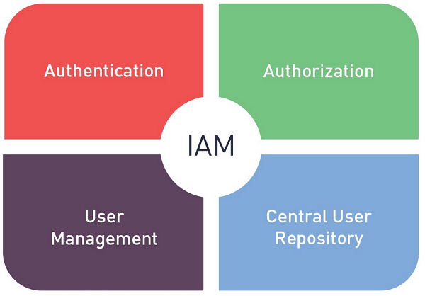 Identity and Access Management Concept - Dragon1