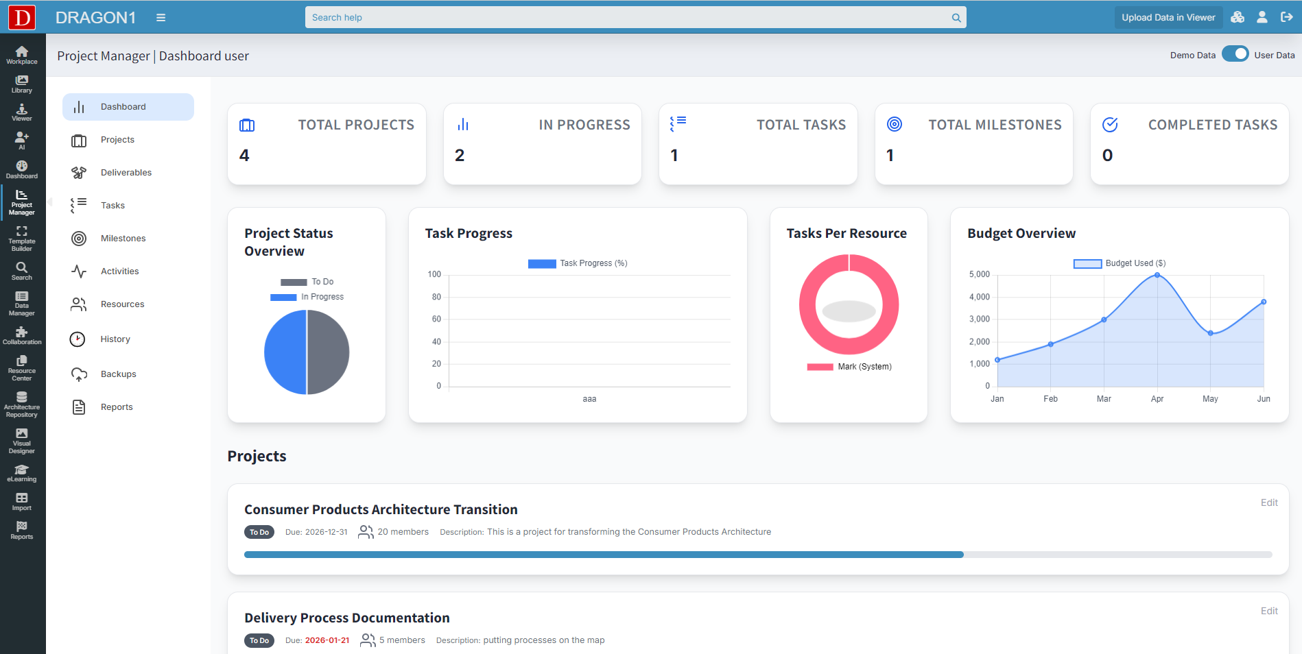 project management