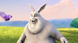 Big Buck Bunny. Video Upload Example (MP4/HTML5)